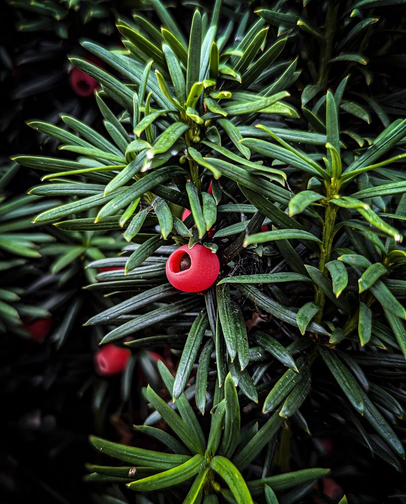 Фотография автора Ксения Шляйхер