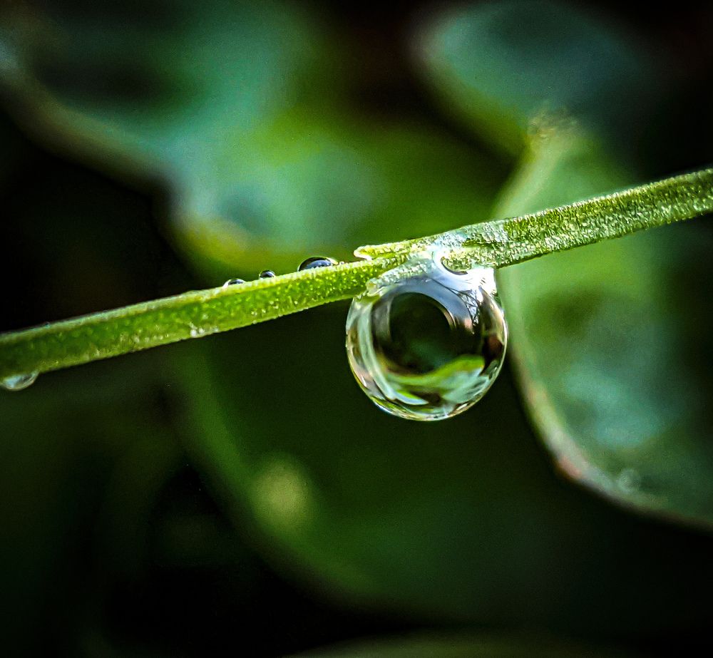 Фотография автора Ксения Шляйхер