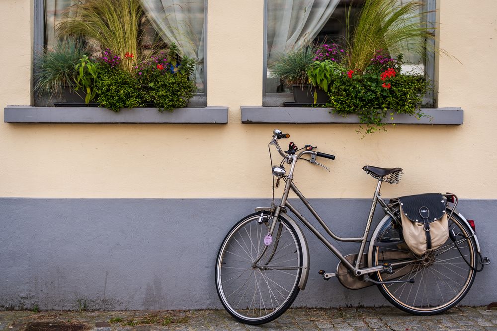 Photograph by Bruno Ribeiro