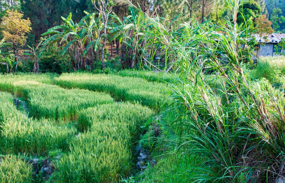 Фотография автора Сергей Сынтин