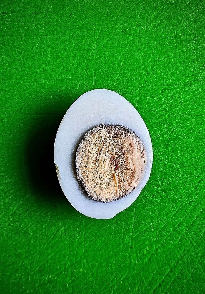 Фотография автора Светлана Алехина