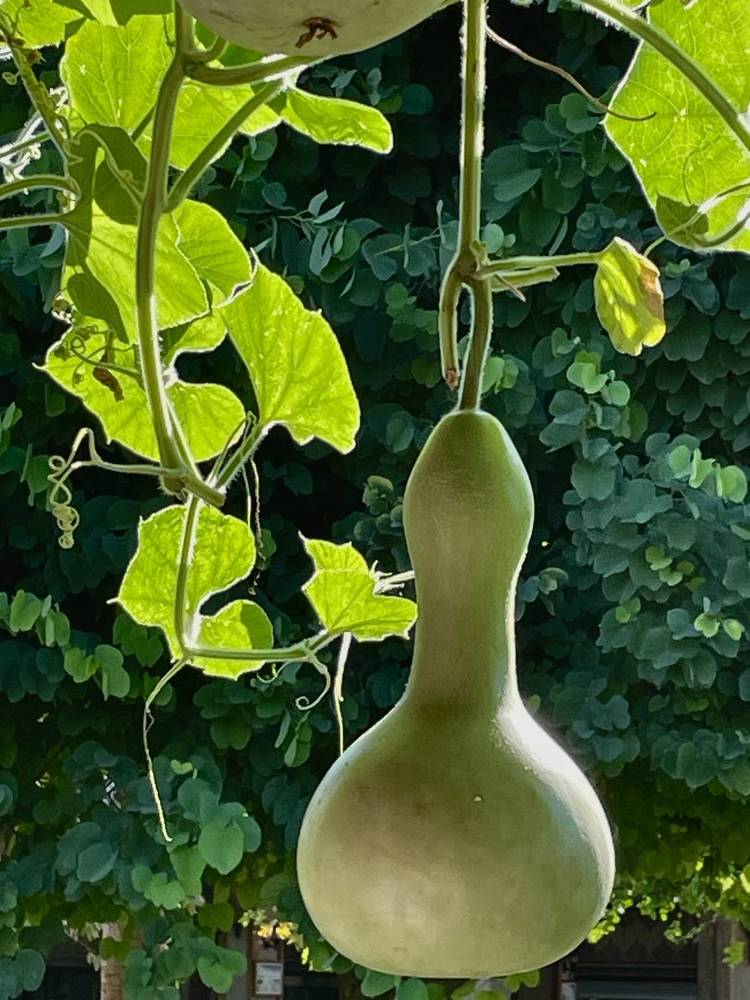 Фотография автора Рамзия Хисамутдинова