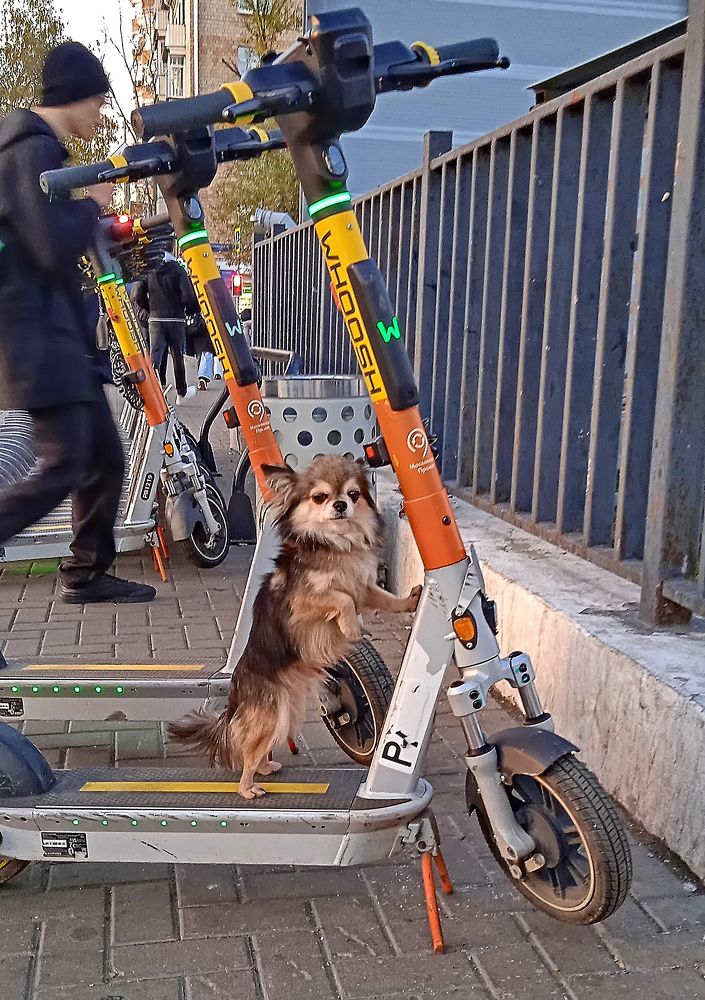 Photograph by Илья