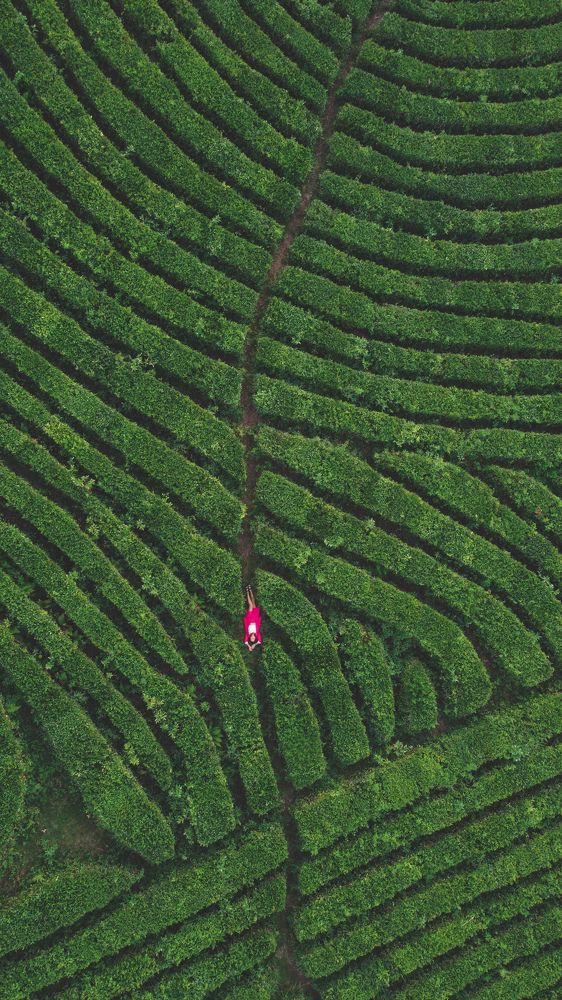 Photograph by Ирина Баринова