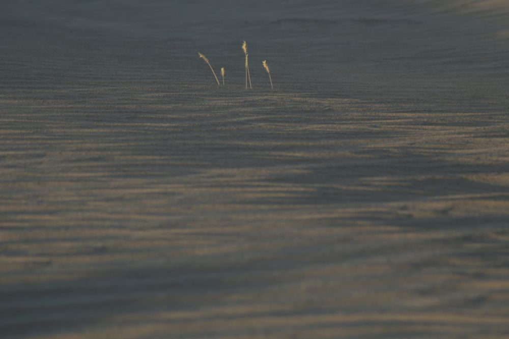 Photograph by KateAkh