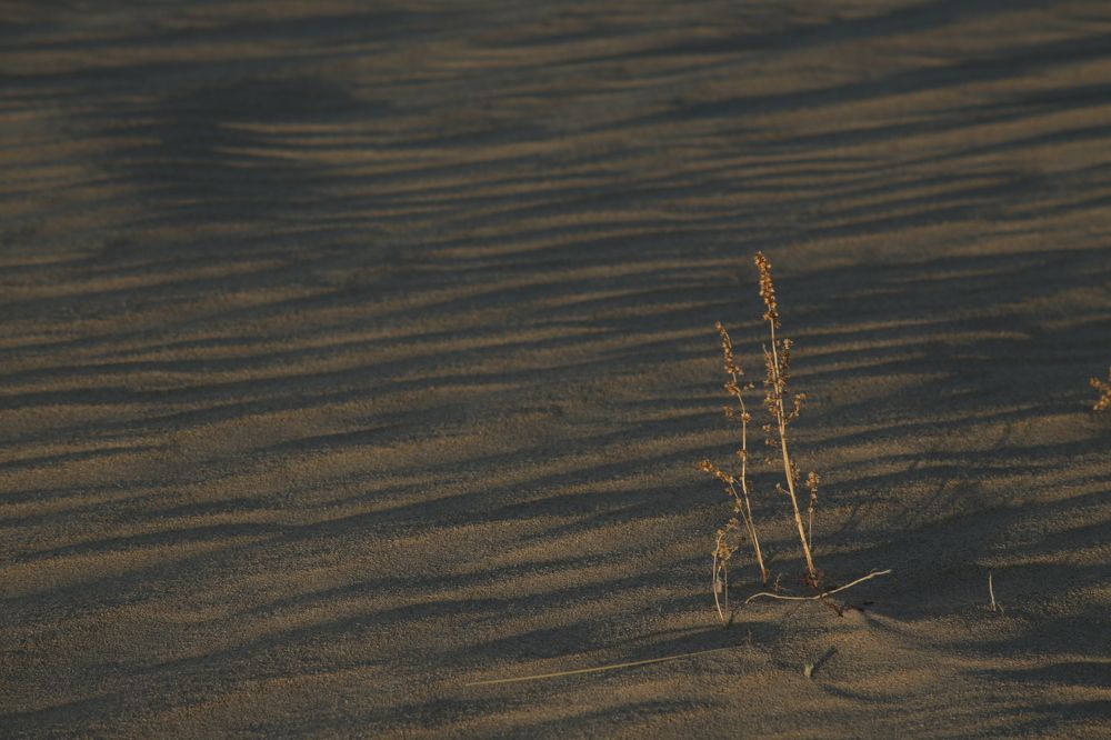 Photograph by KateAkh