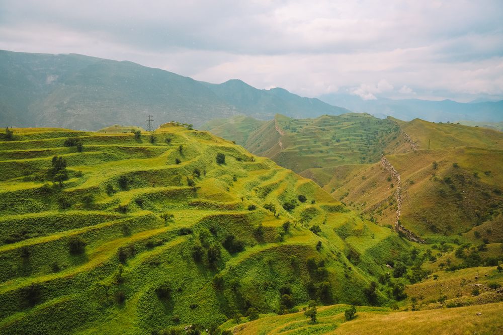 Photograph by Алексей Голубев