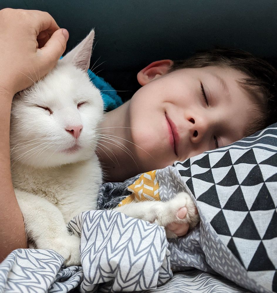 Фотография автора Ксения Шляйхер