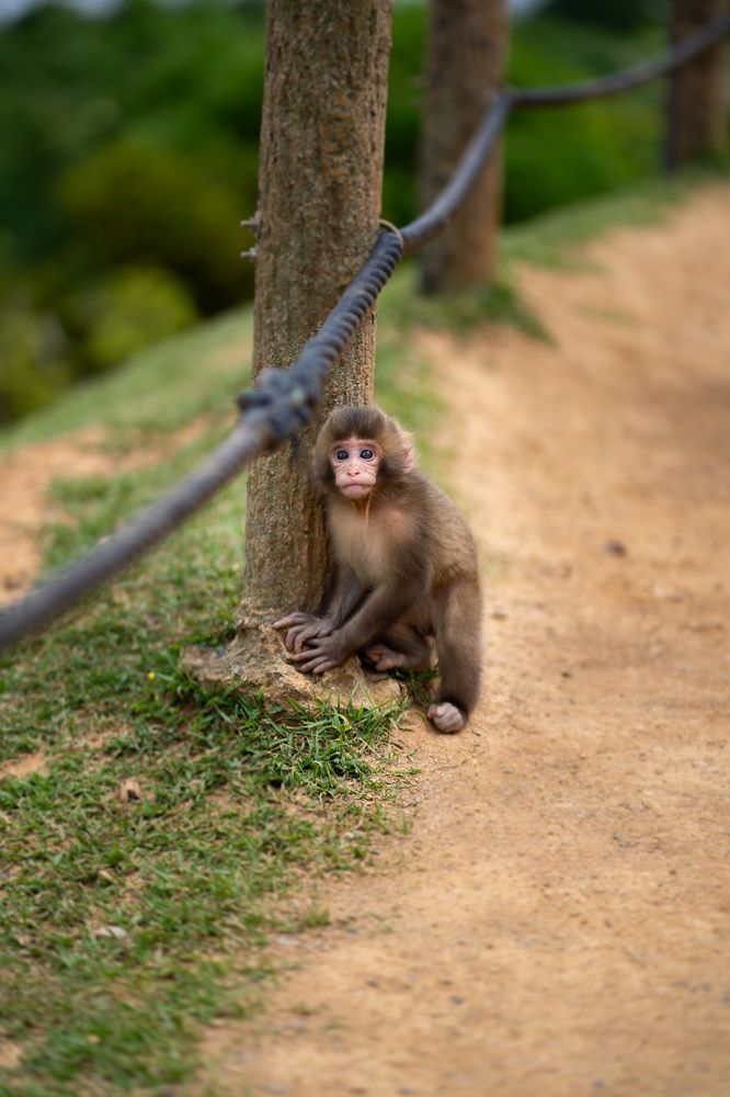 Фотография автора Borisova Natalia