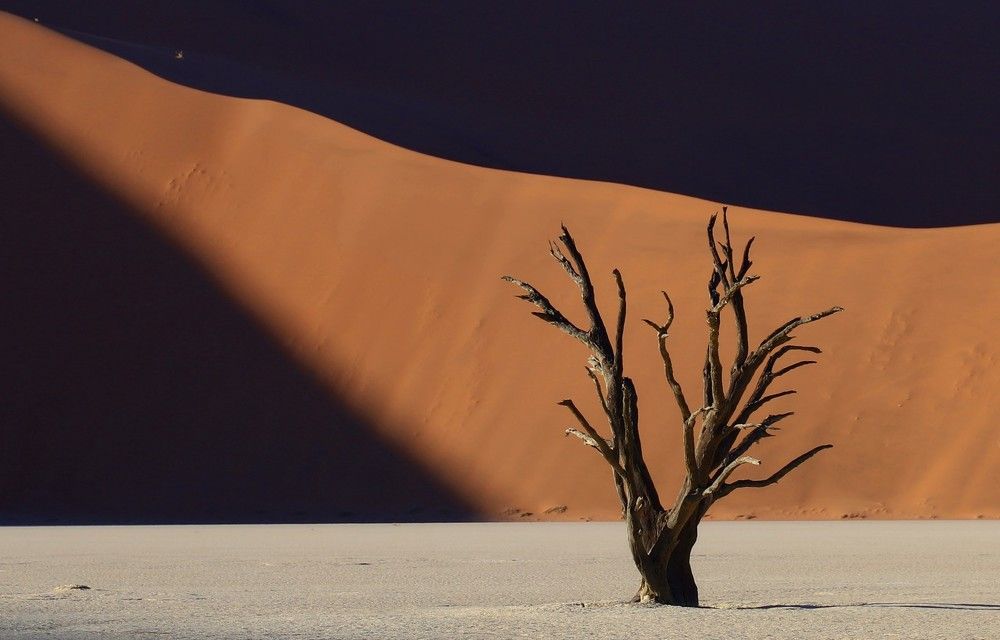 Photograph by Диана Жагрина