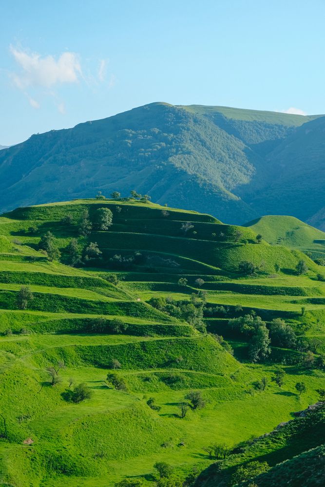 Photograph by Ирина Баринова