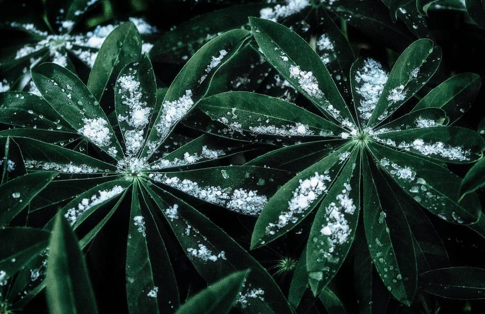 Photograph by Юлия Лушникова