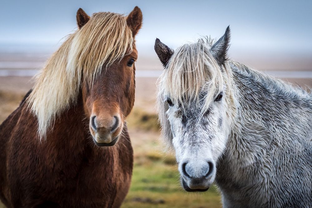 Photograph by Bruno Ribeiro