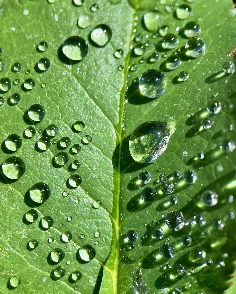 Фотография автора Рамзия Хисамутдинова