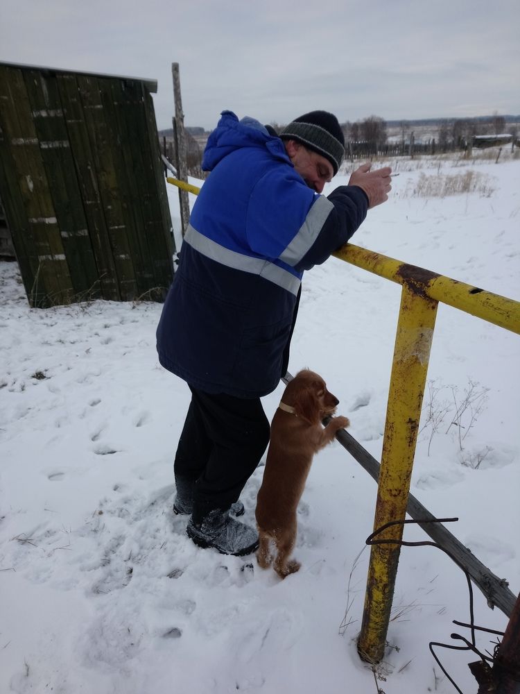 Photograph by Людмила Воропаева