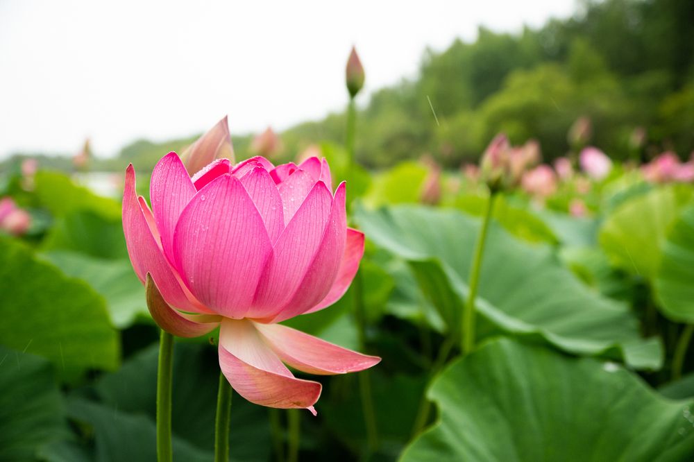 Photograph by Anna Kotelnikova