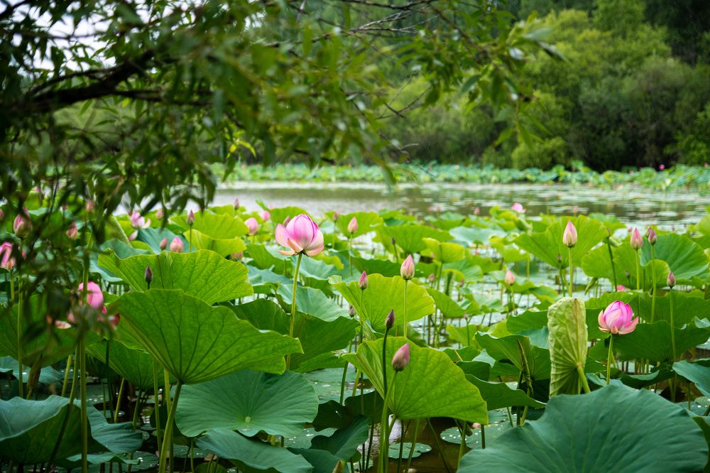 Photograph by Anna Kotelnikova