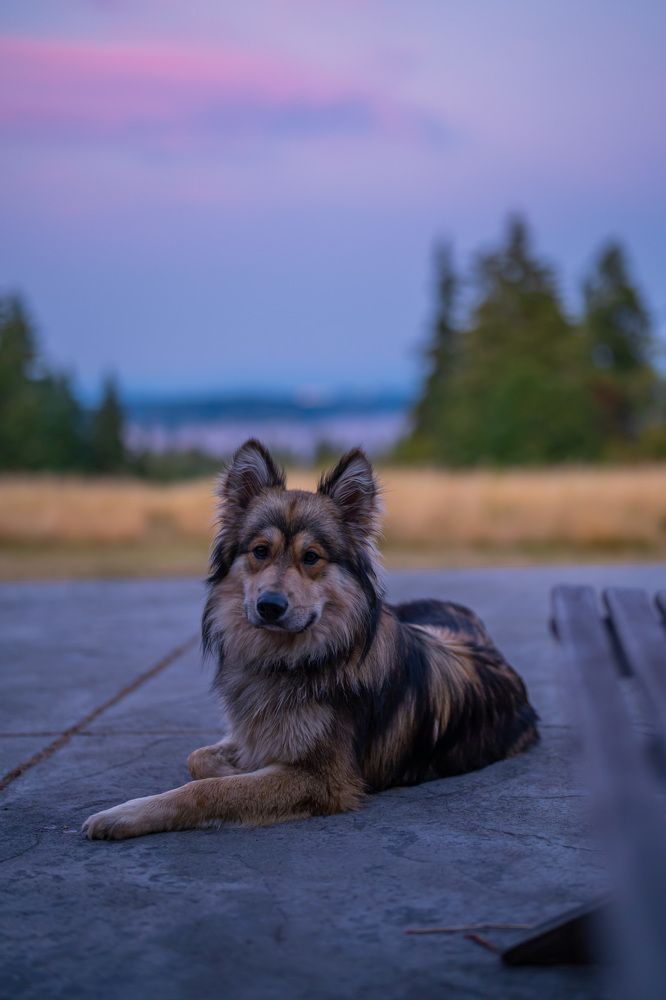 Фотография автора Borisova Natalia