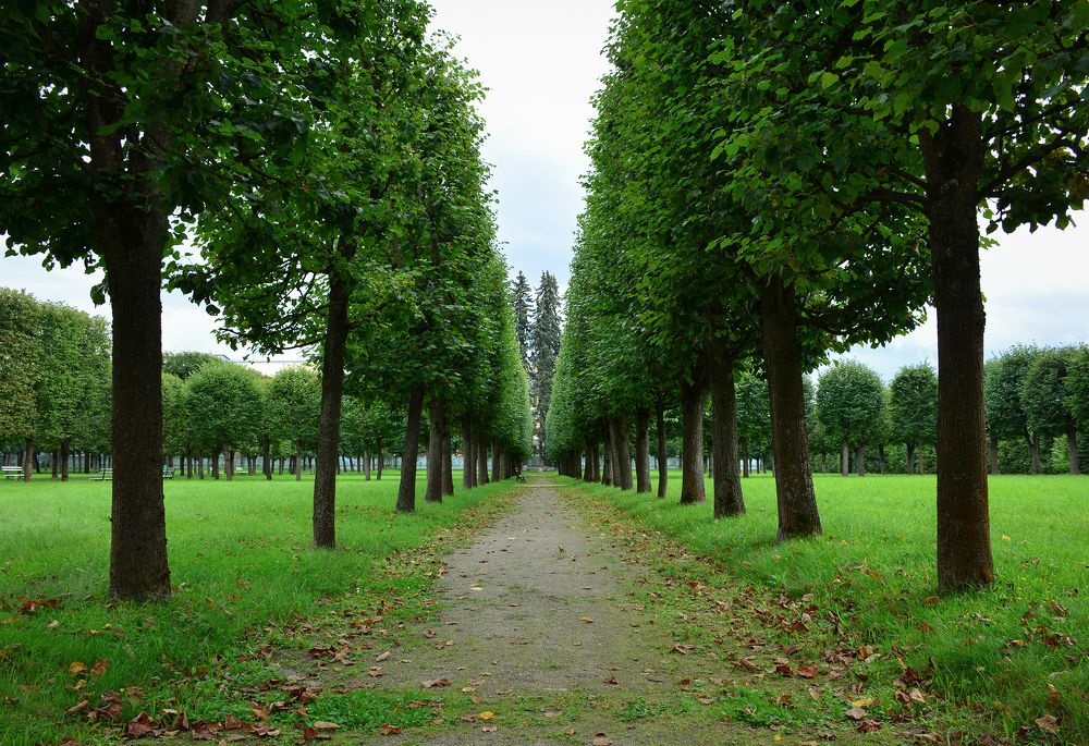 Photograph by Inna Ivanova