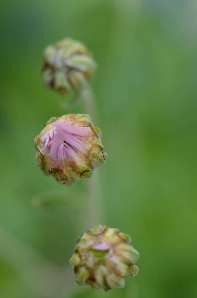 Photograph by Людмила Воропаева