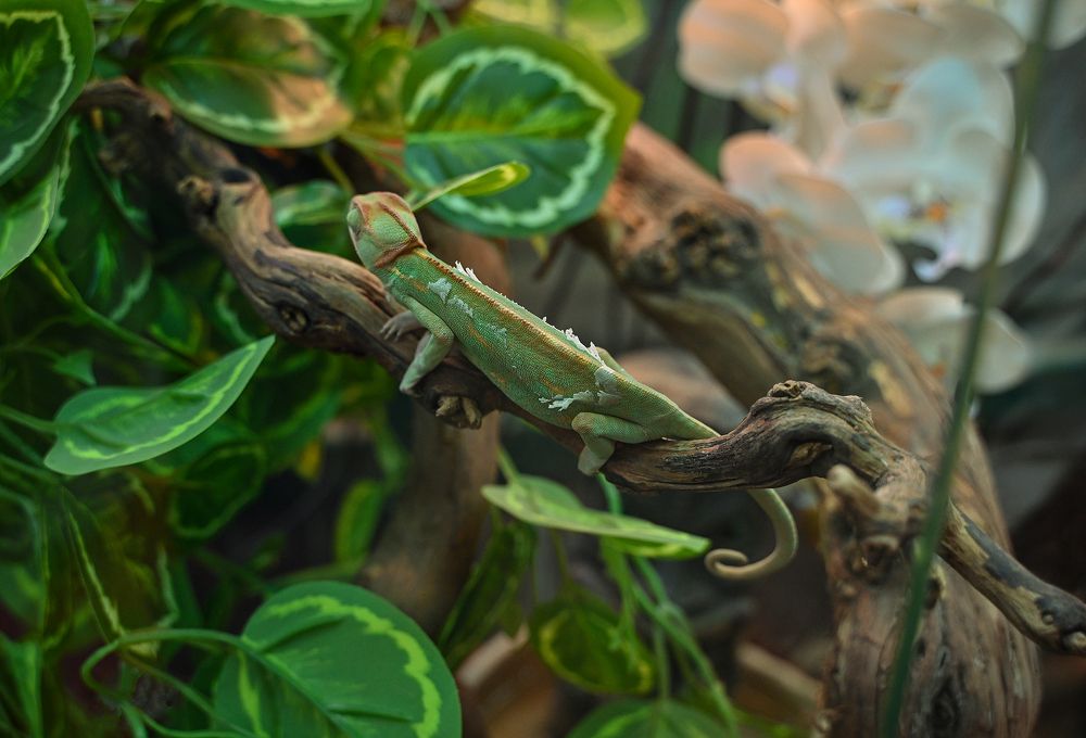 Photograph by Inna Ivanova