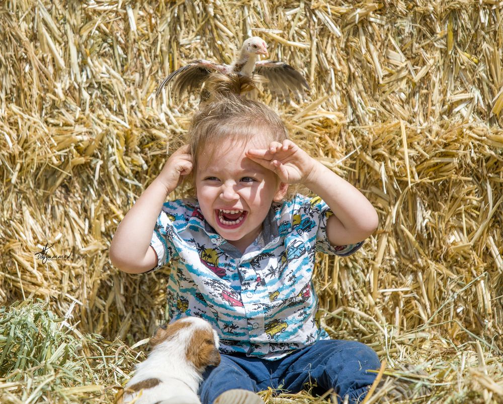 Фотография автора Mohammed sajd Abo ganem