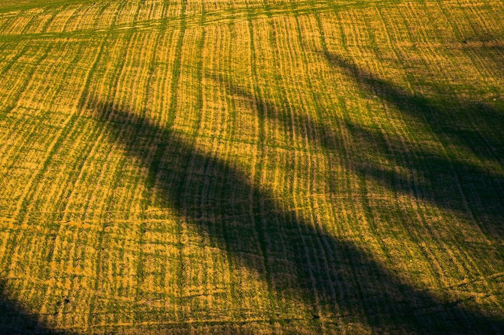 Photograph by Roman Dmitriev