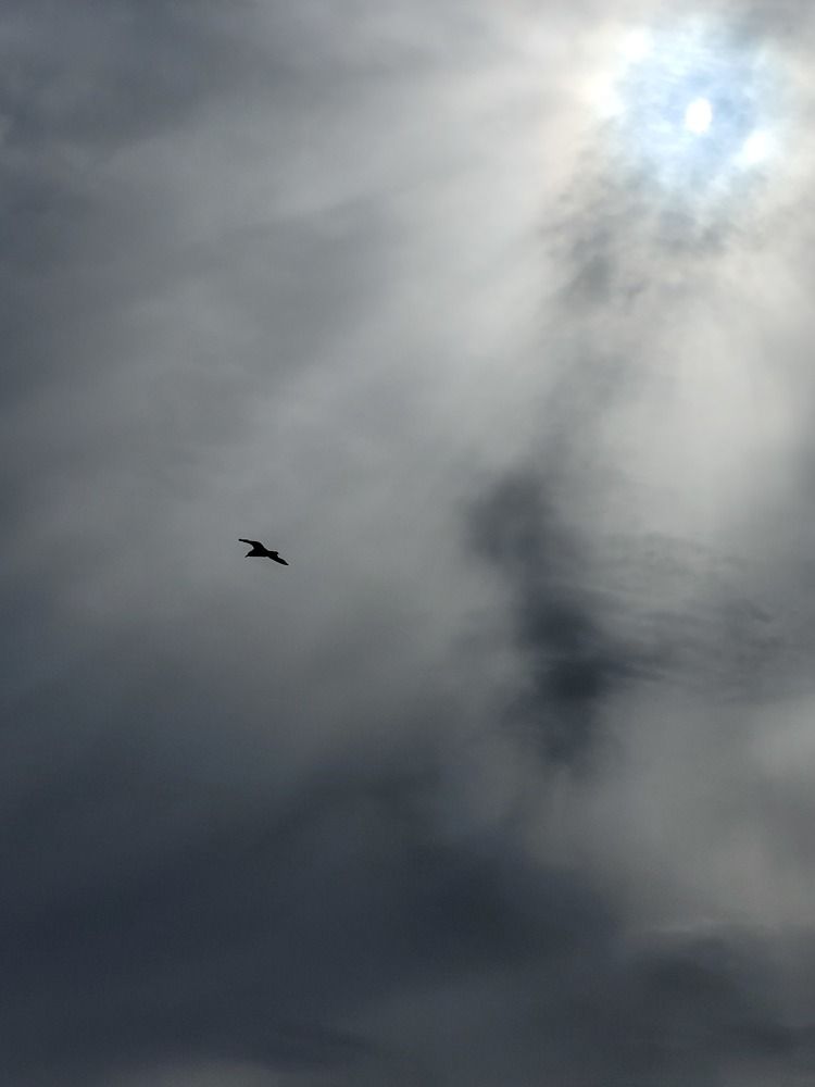 Фотография автора Казакова Людмила Ивановна