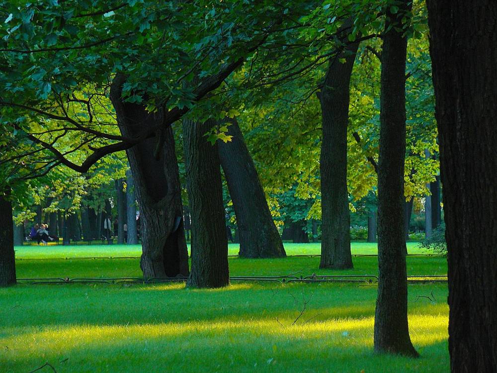 Photograph by Zakharov Matvey