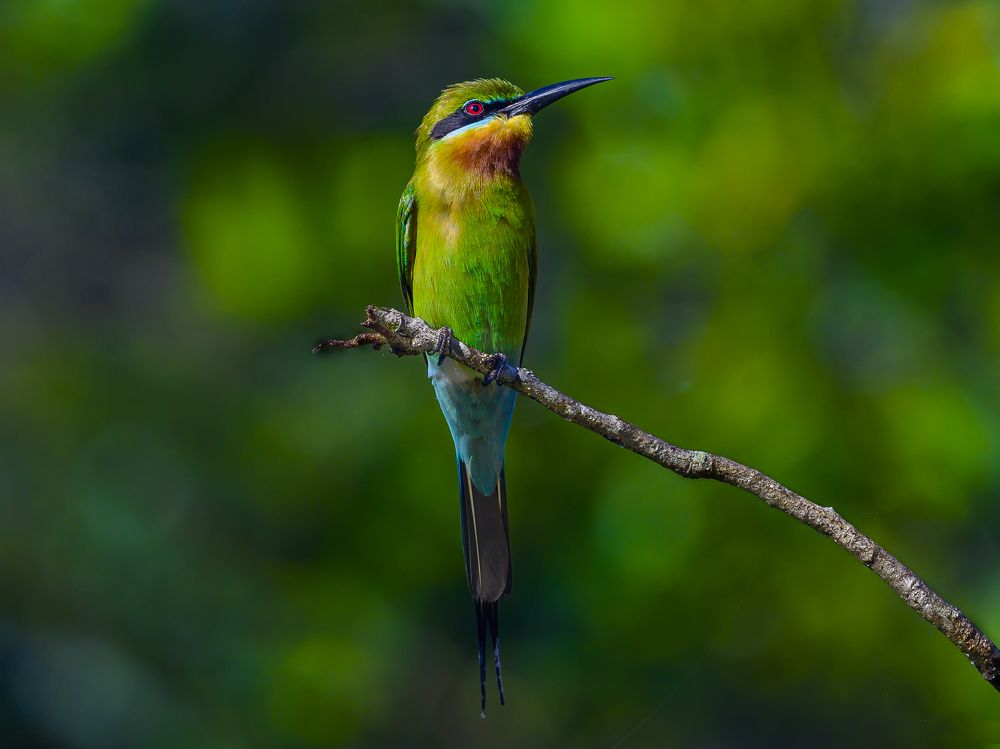 Photograph by Пупонин Сергей