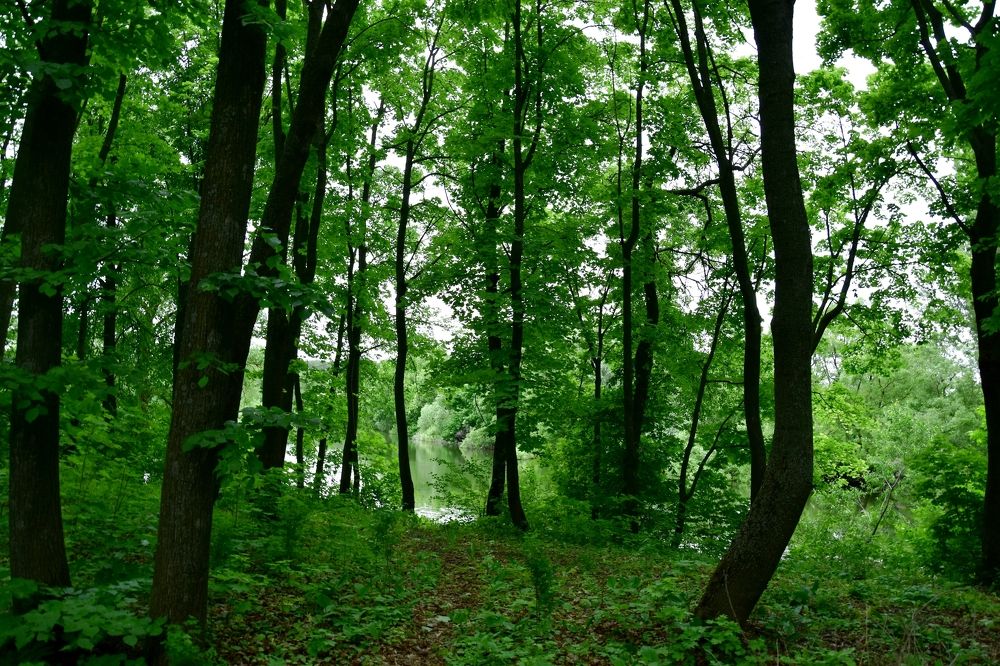 Photograph by Валерий Гудков