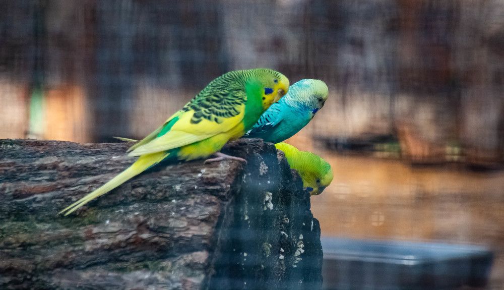 Photograph by Наталья Веряскина