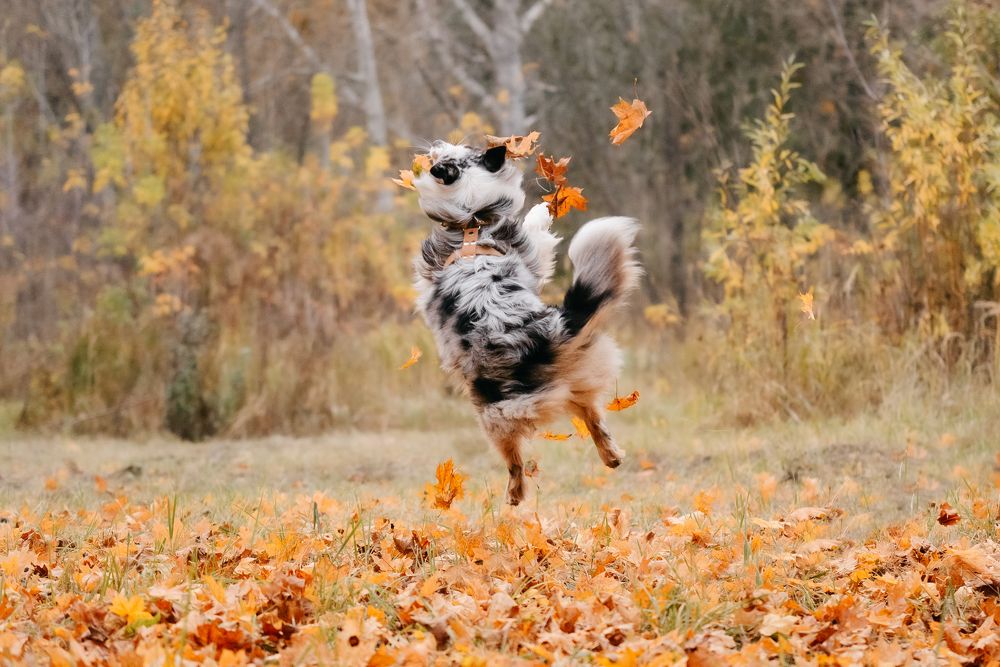 Photograph by Илья Кузнецов