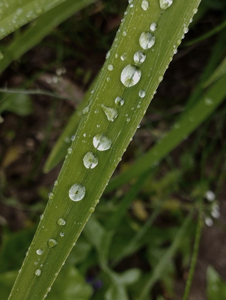 Photograph by Ия Дирко