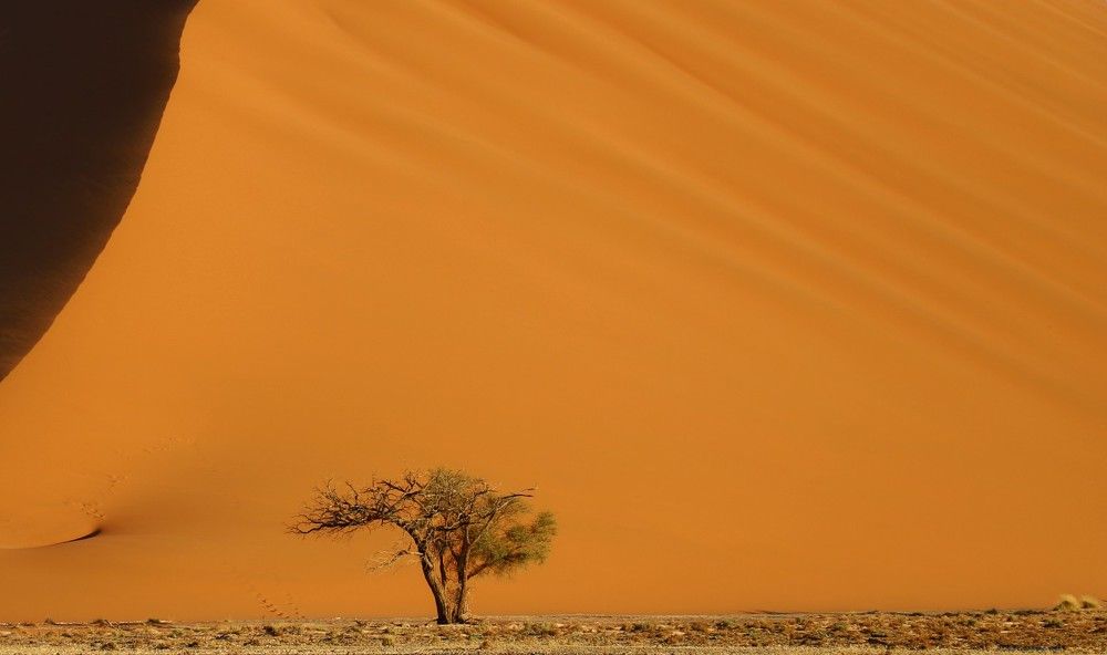 Photograph by Диана Жагрина