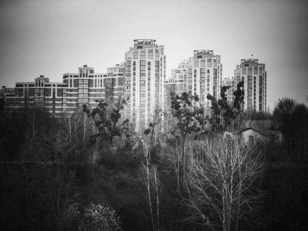 Photograph by Vitaliy