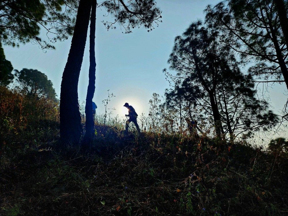 Photograph by G GOVIL