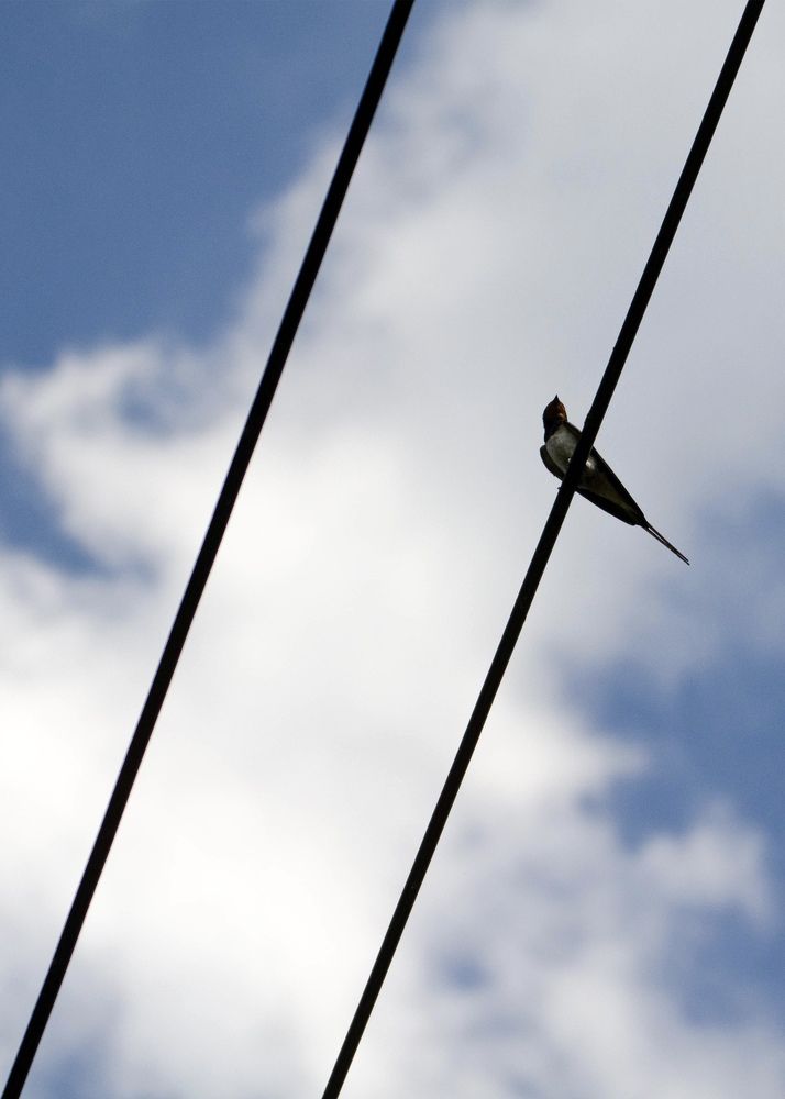 Photograph by Юлия Сидорова