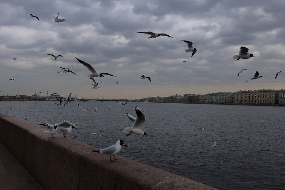Photograph by Евгений Распопин