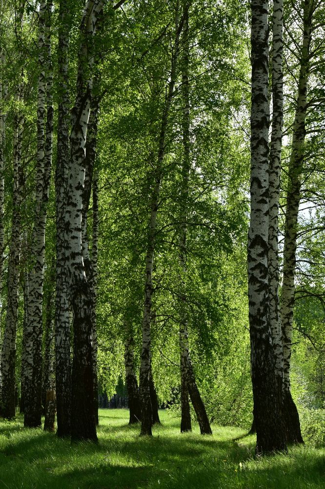 Photograph by Валерий Гудков