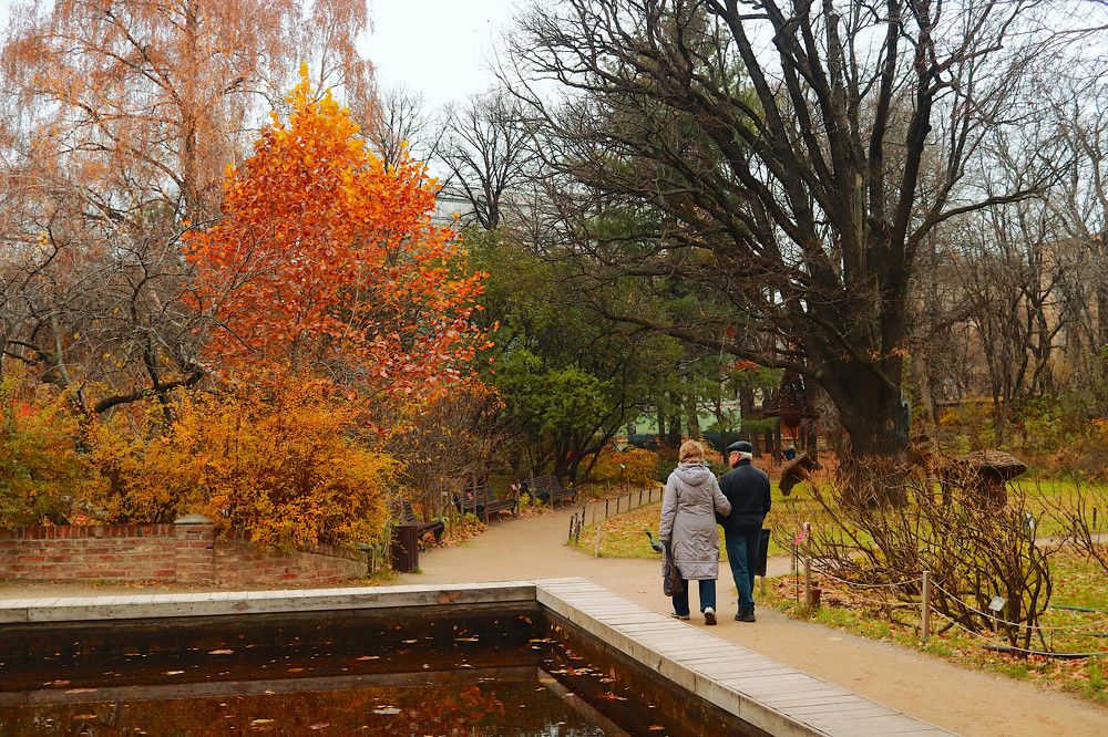 Два одиночества