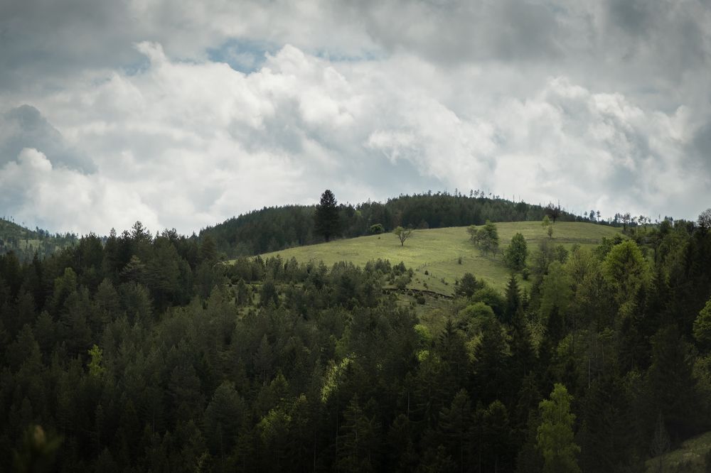 Photograph by Roman Vislobokov