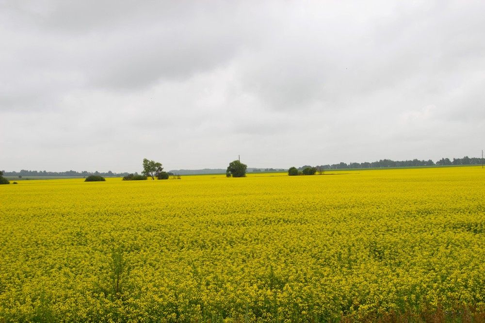 Photograph by Наталья Рыкова