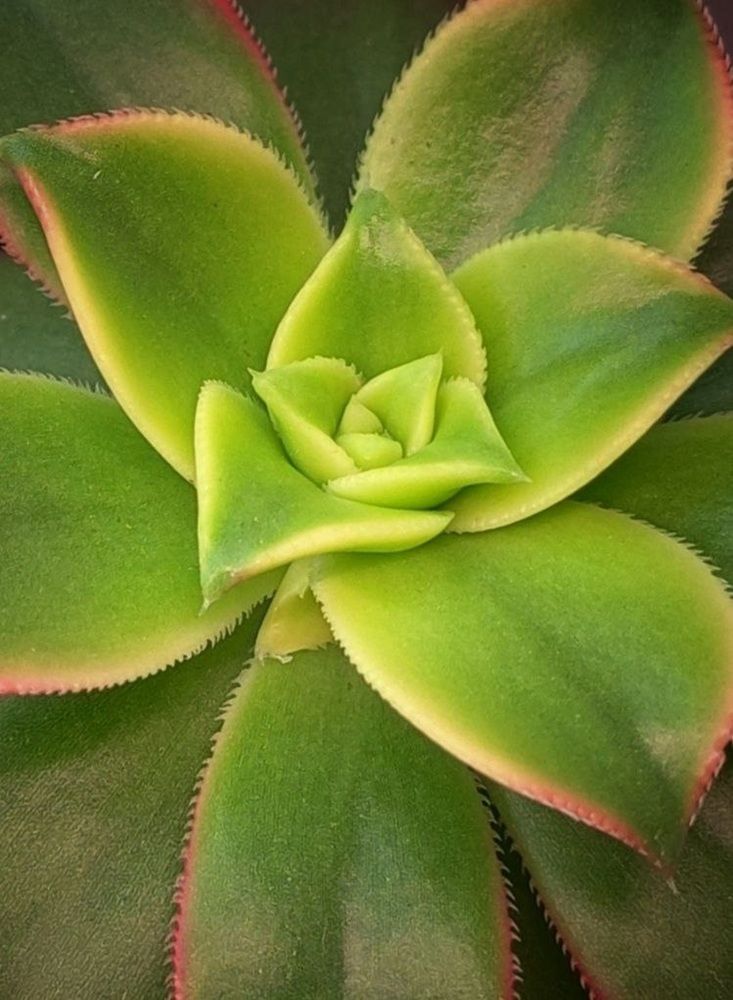 Photograph by Надежда