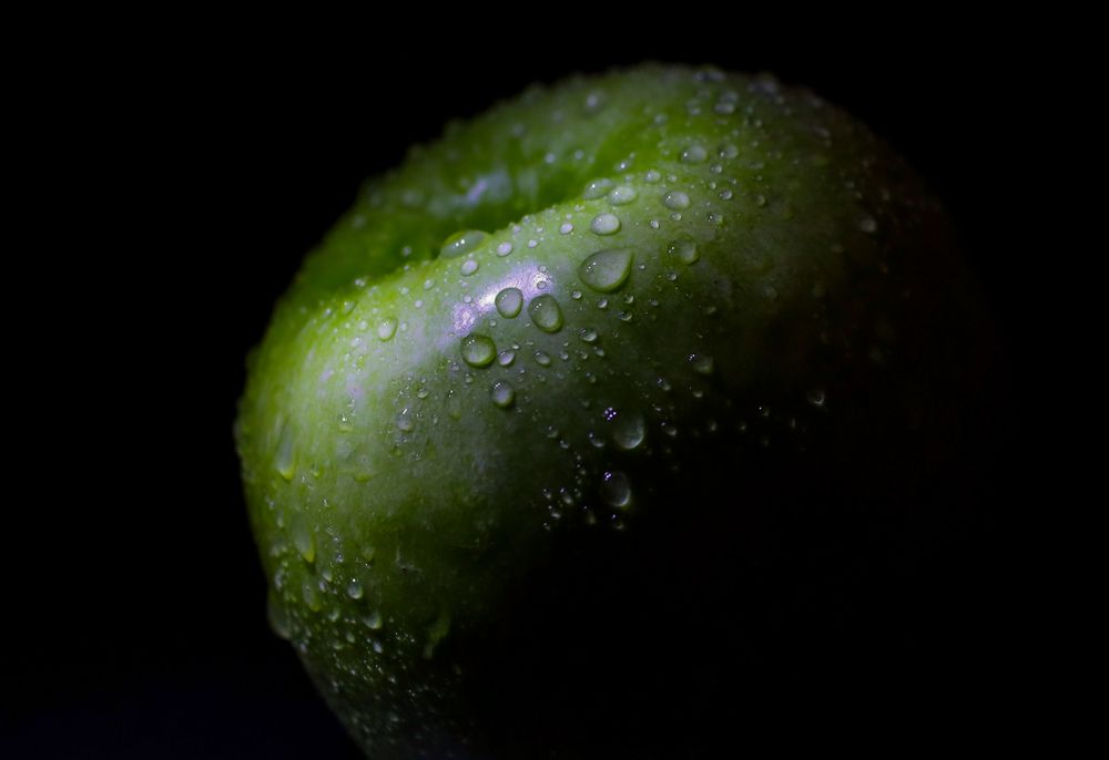 Photograph by Grădinaru Catalin