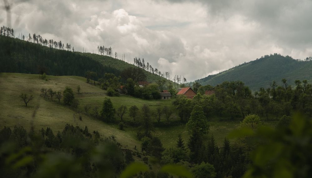 Photograph by Roman Vislobokov