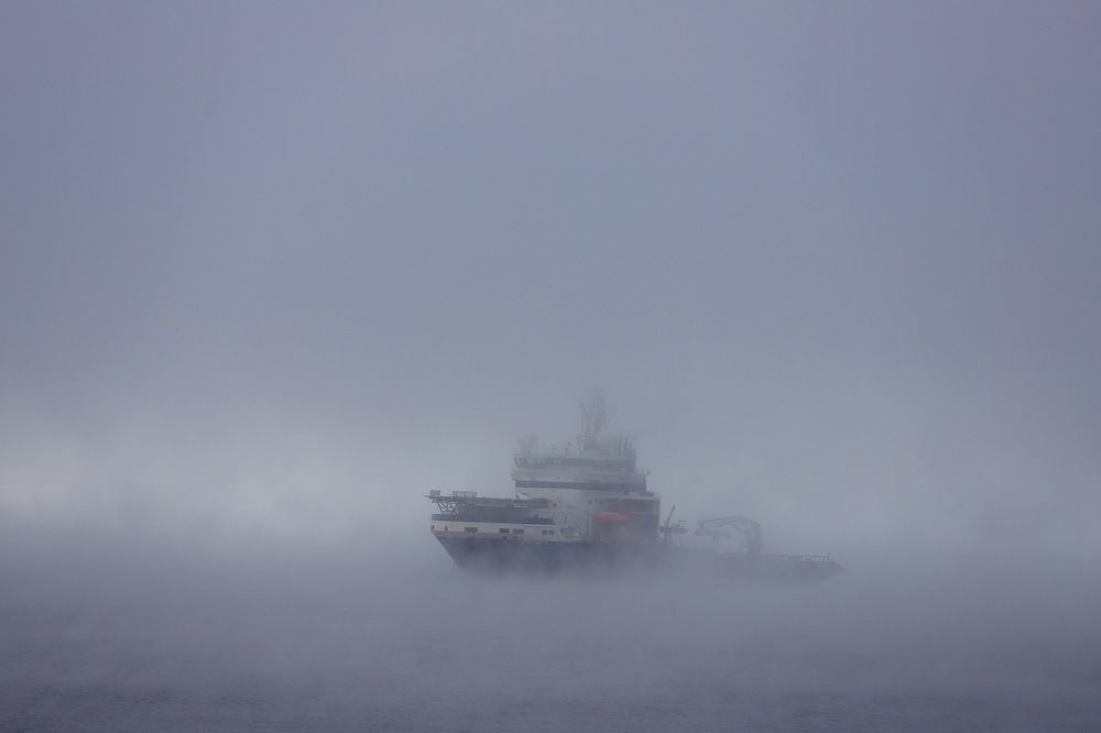 Photograph by Александр Перегоненко