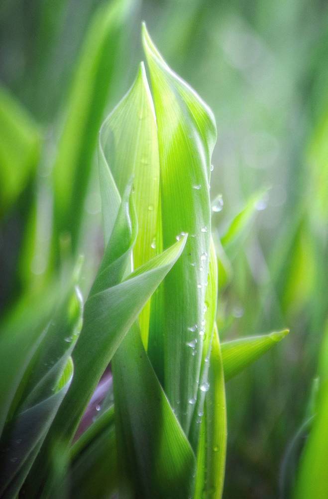 Photograph by Юлия Лушникова