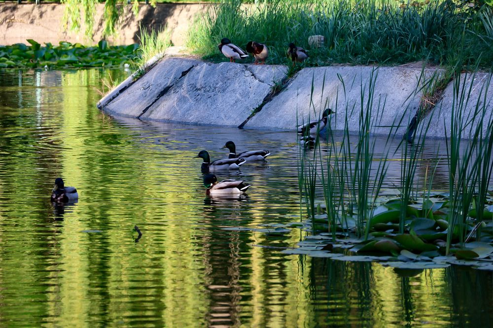 Photograph by Grădinaru Catalin