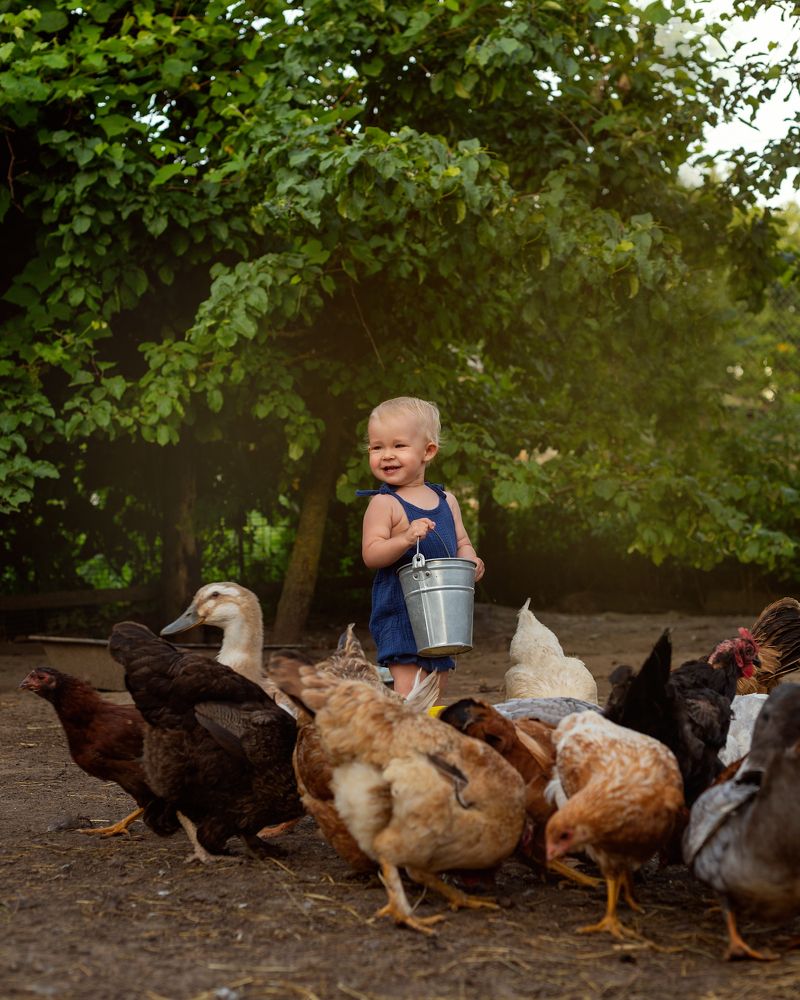 Photograph by Дарья Гомза